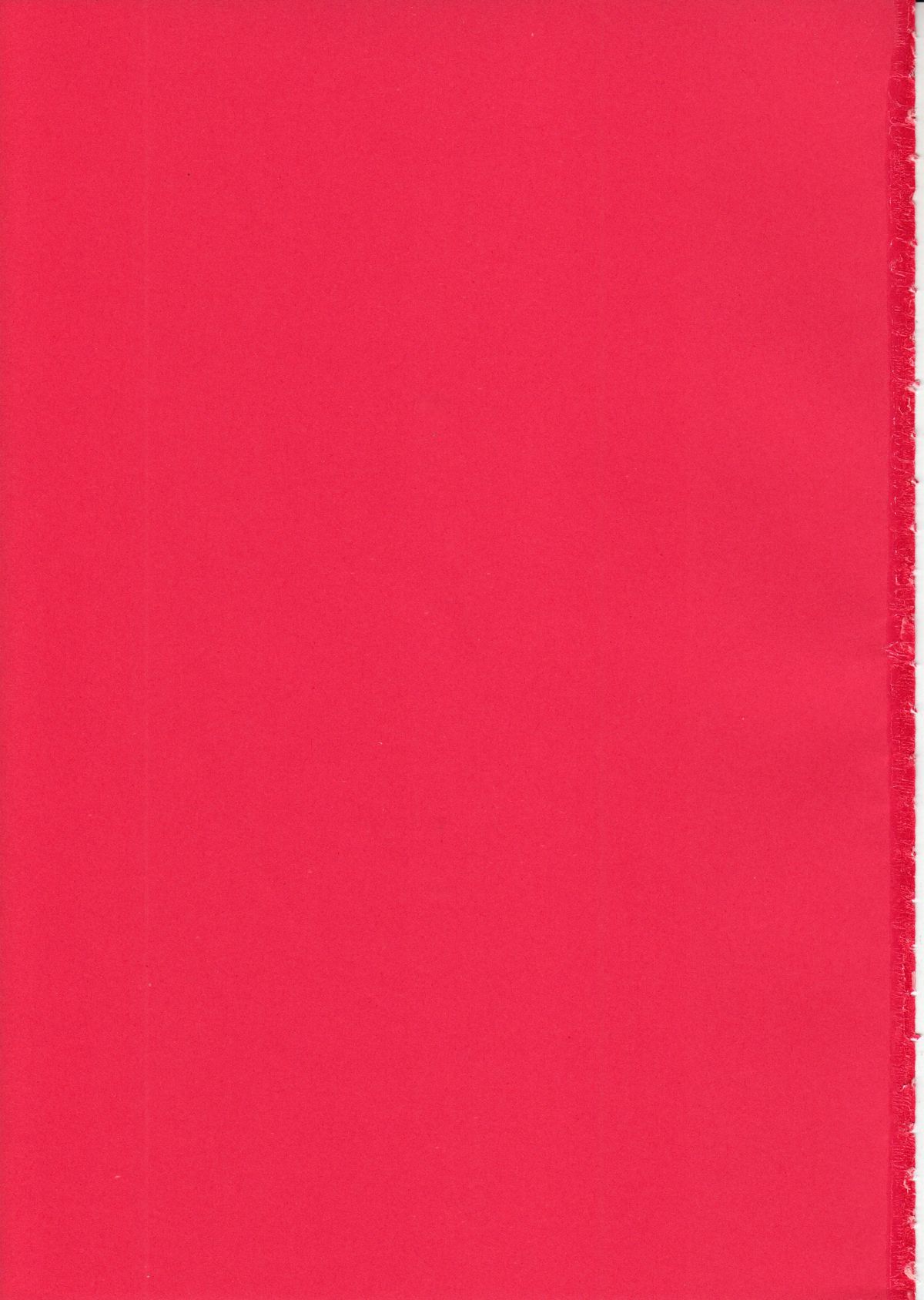 【レイズスタッフ】お腹大好き（ファイナルファンタジーXI）