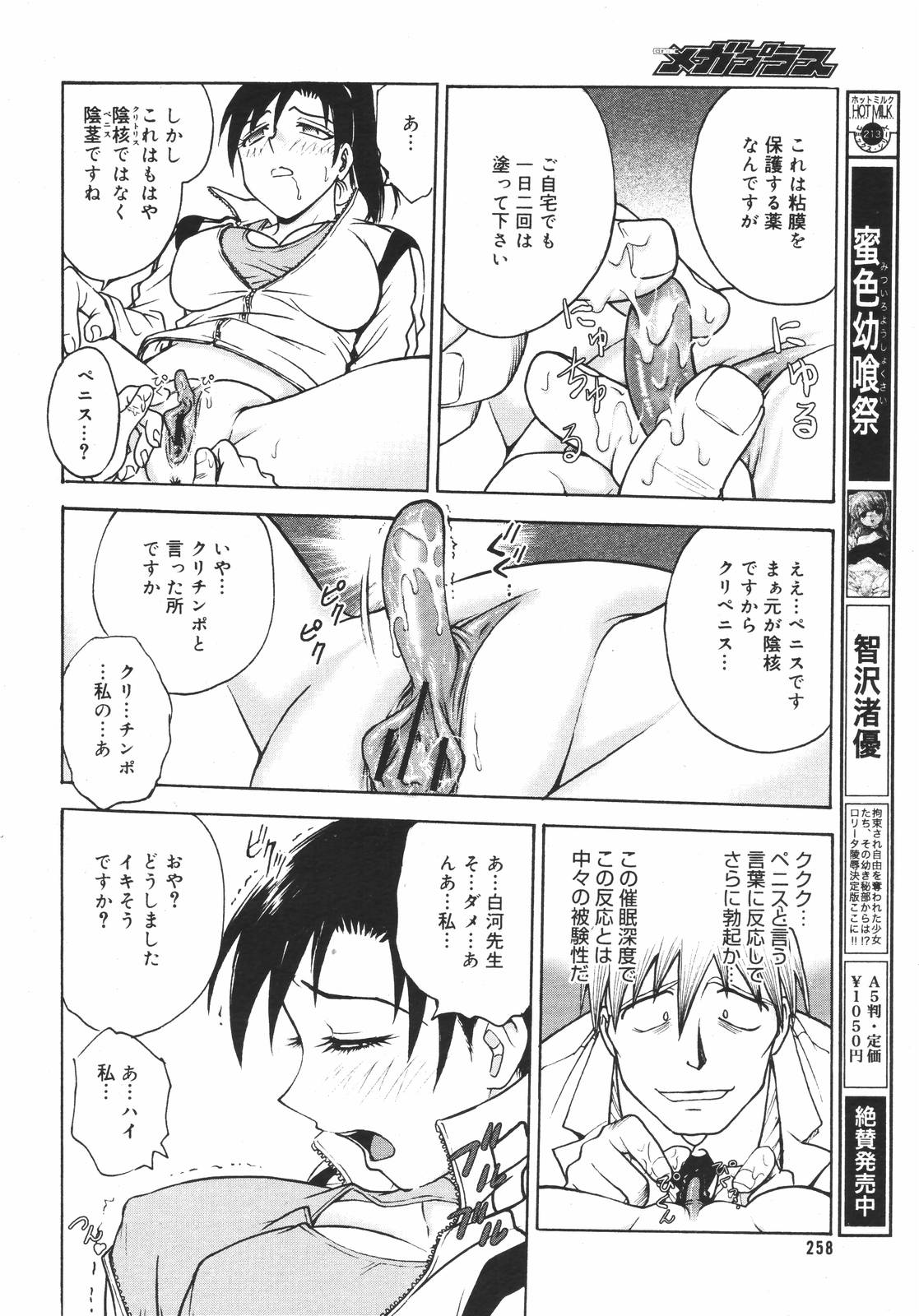 コミックメガプラスVol.382006-12