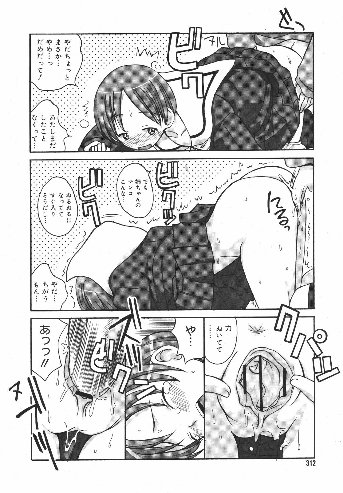 コミックメガプラスVol.382006-12