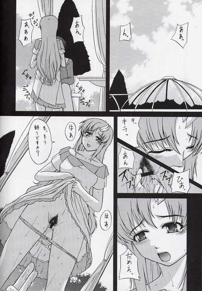 (C64) [Neo Frontier (浙佐拓馬)] My Milky Way 3rd (機動戦士ガンダムSEED)