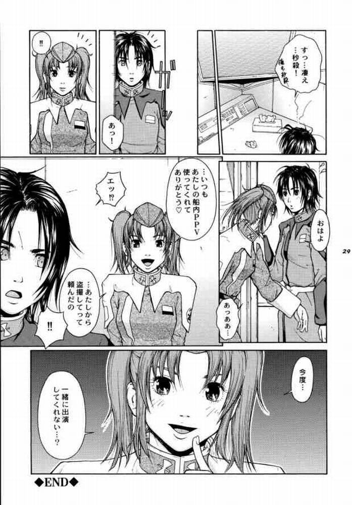 (Cレヴォ37) [ハレンチプラネット (タテノトモキ)] TWT 3 (機動戦士ガンダムSEED)