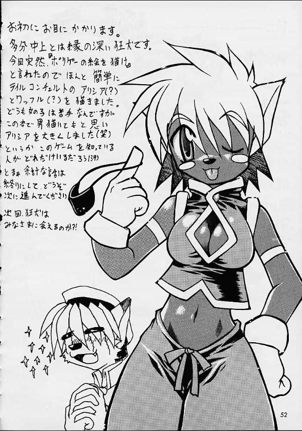 【まよいねこ】VS（各種）