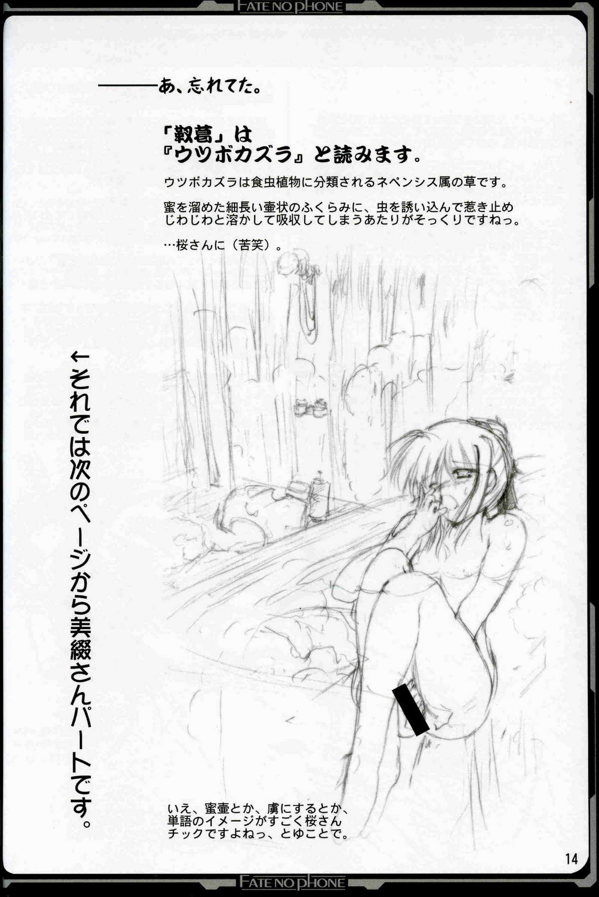 (C67) [歩く電波塔の会 (きむら秀一)] ふぇいとのほん (Fate/stay night)