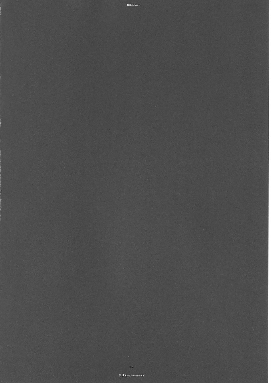 (C69) [R-WORKS (ROS)] THE SAGE 3 (Fate/stay night)