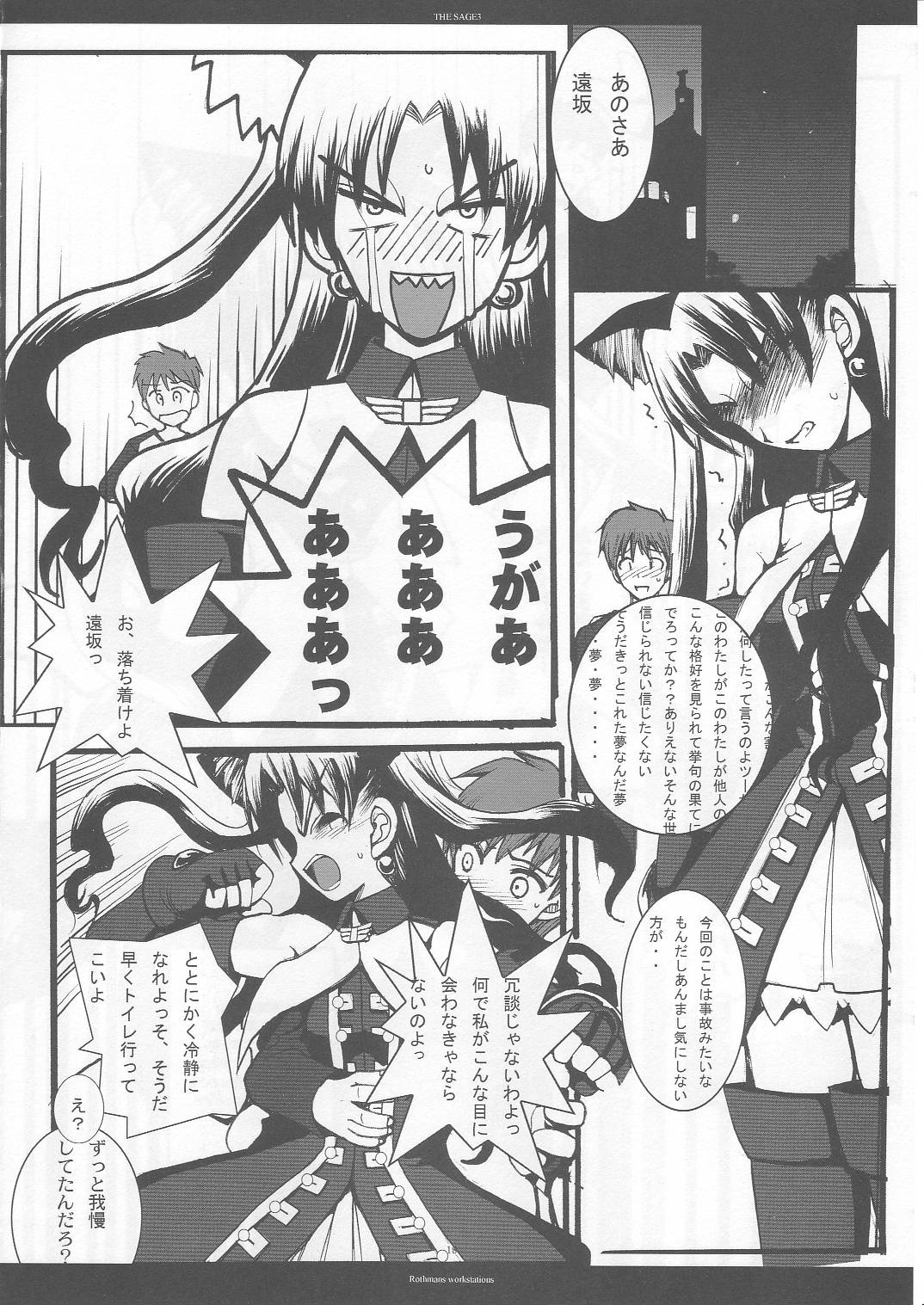 (C69) [R-WORKS (ROS)] THE SAGE 3 (Fate/stay night)