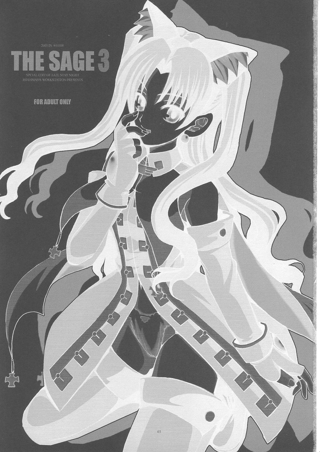 (C69) [R-WORKS (ROS)] THE SAGE 3 (Fate/stay night)