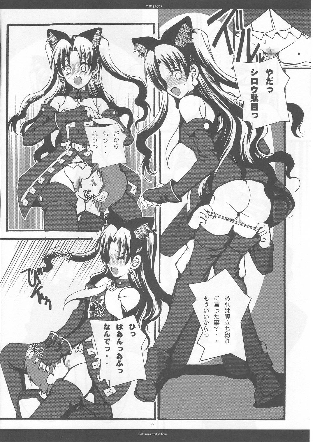 (C69) [R-WORKS (ROS)] THE SAGE 3 (Fate/stay night)