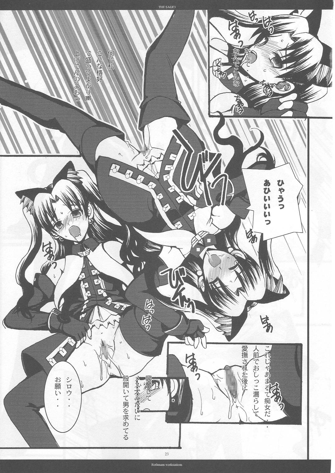 (C69) [R-WORKS (ROS)] THE SAGE 3 (Fate/stay night)