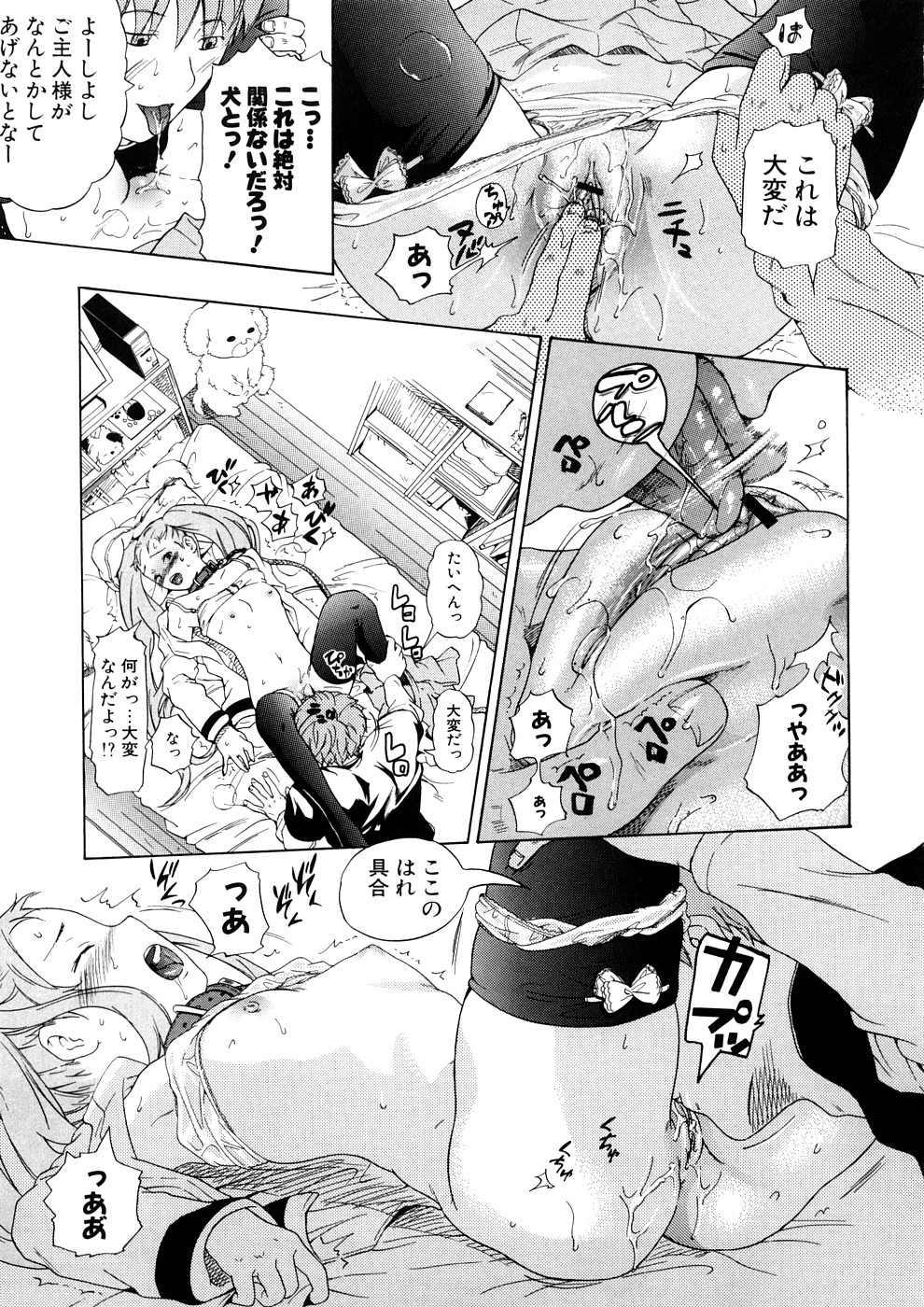 [中年] 年刊中年チャンプ