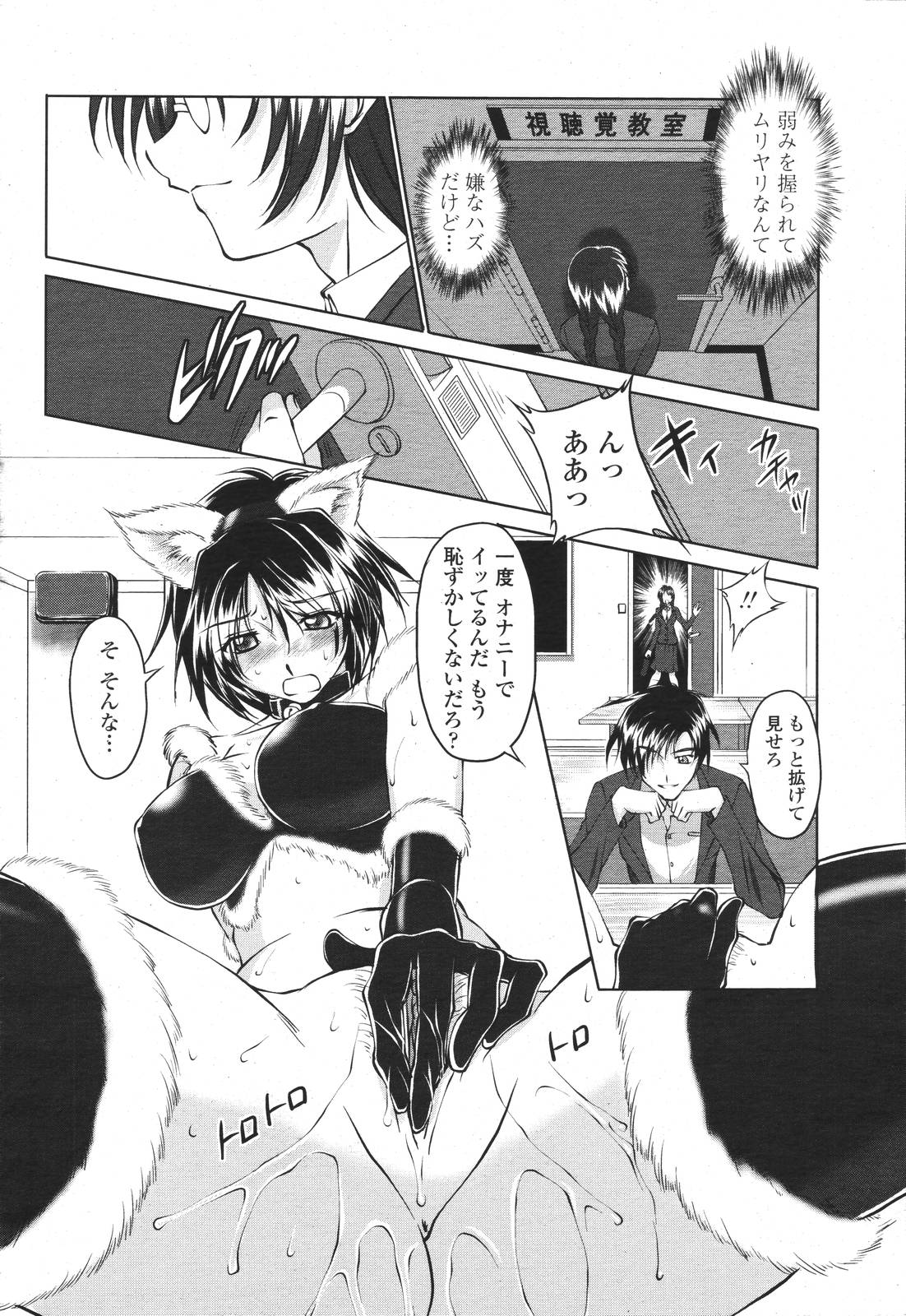 COMIC 桃姫 2007年3月号