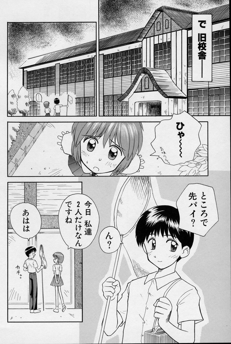 [こけこっこ★こま] 陽だまりの少女