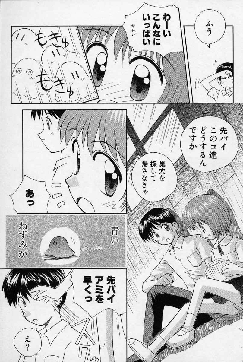 [こけこっこ★こま] 陽だまりの少女