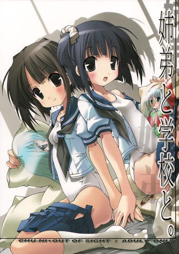 (C74) [ちゅうに+OUT OF SIGHT (KIMちー)] 姉弟と学校と。