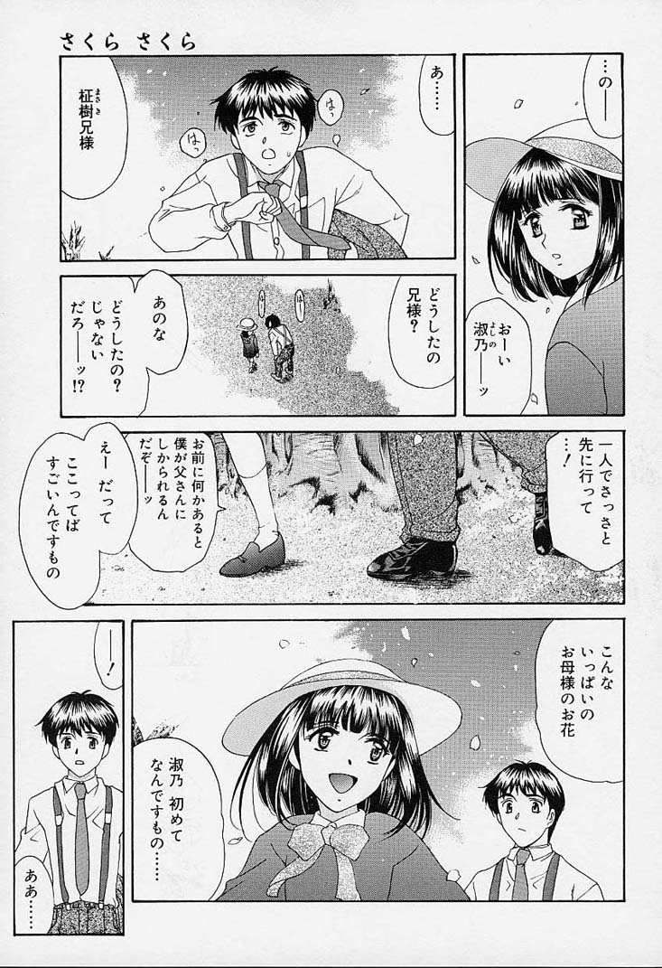 [あまゆみ] さくらさくら