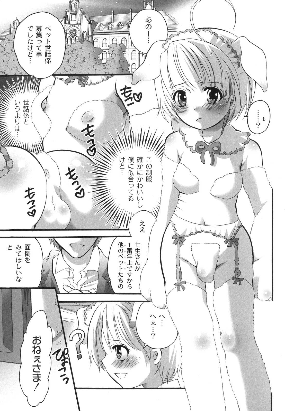 [命わずか] 濃厚みるくセイキ