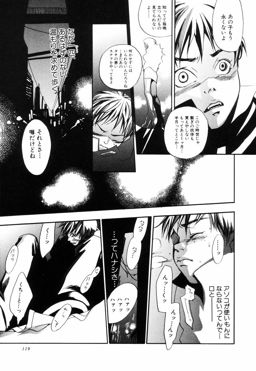 [米倉けんご] トリプルヴァイオレーションズ