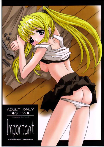 (SC23) [ゆきみ本舗 (あさのゆきの)] Important (鋼の錬金術師)