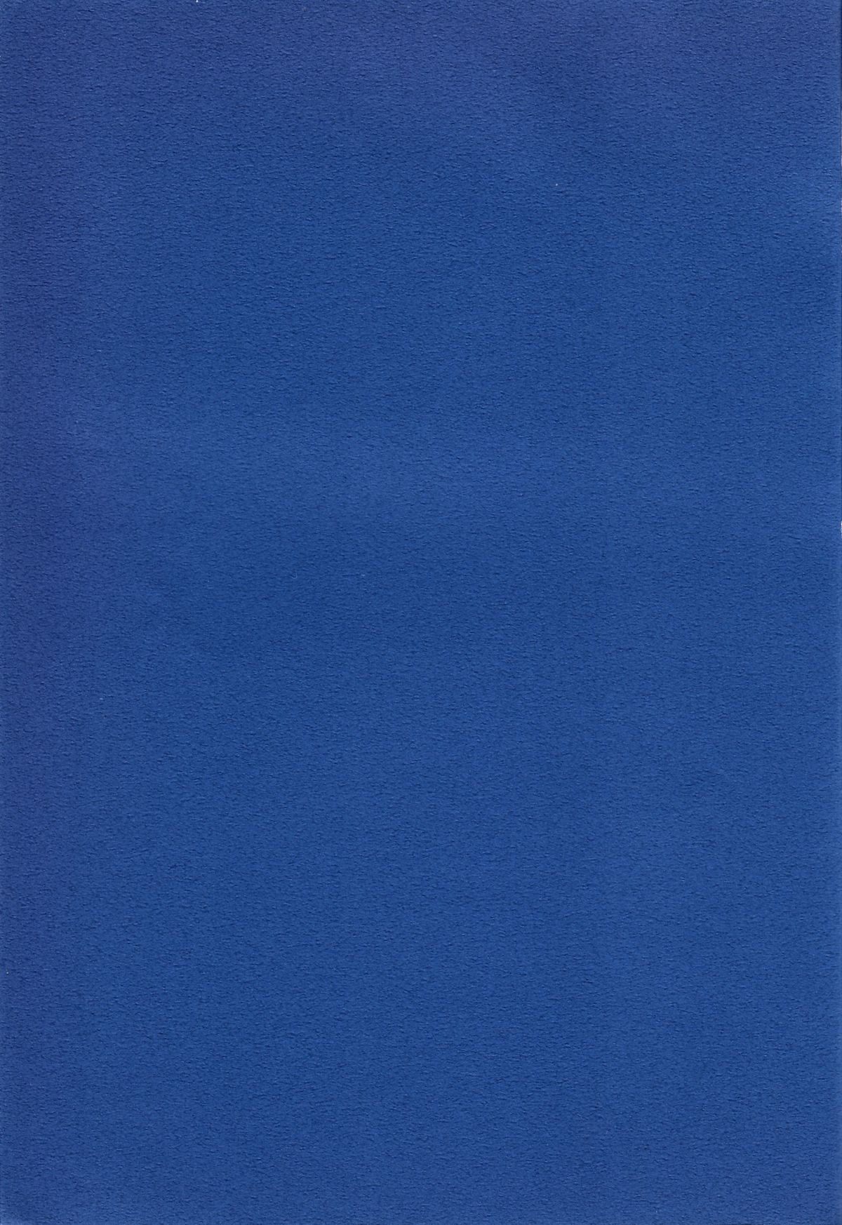 (C51) [血祭屋本舗 (よろず)] FSB (新世紀エヴァンゲリオン)