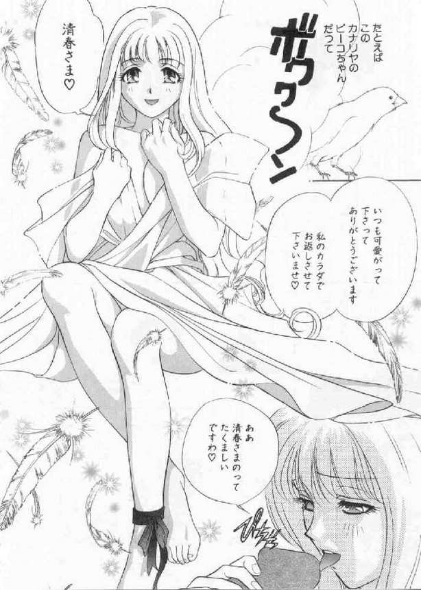 [ドリルムラタ] 破廉恥