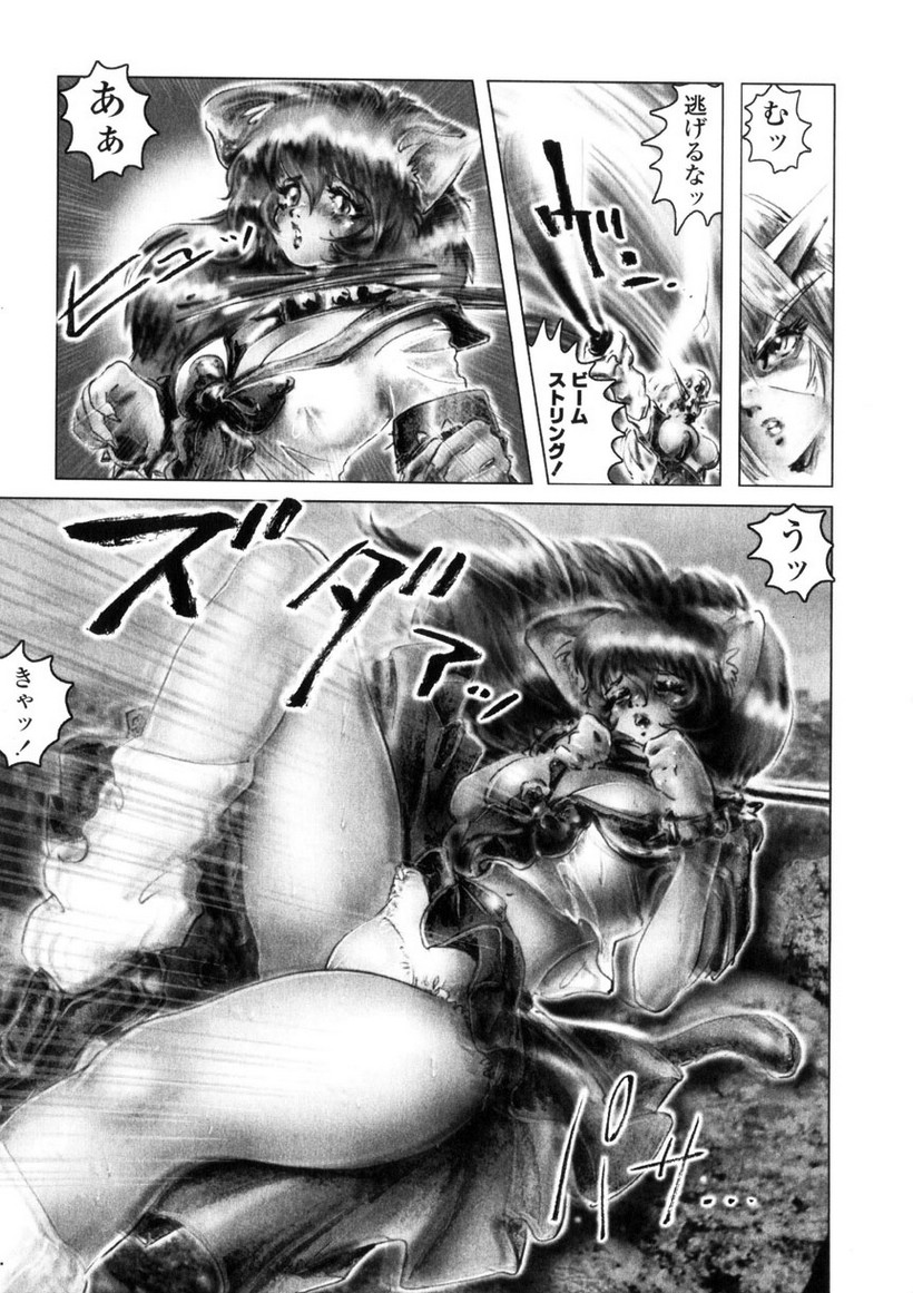 【ネオジェントル】SpladyCasty