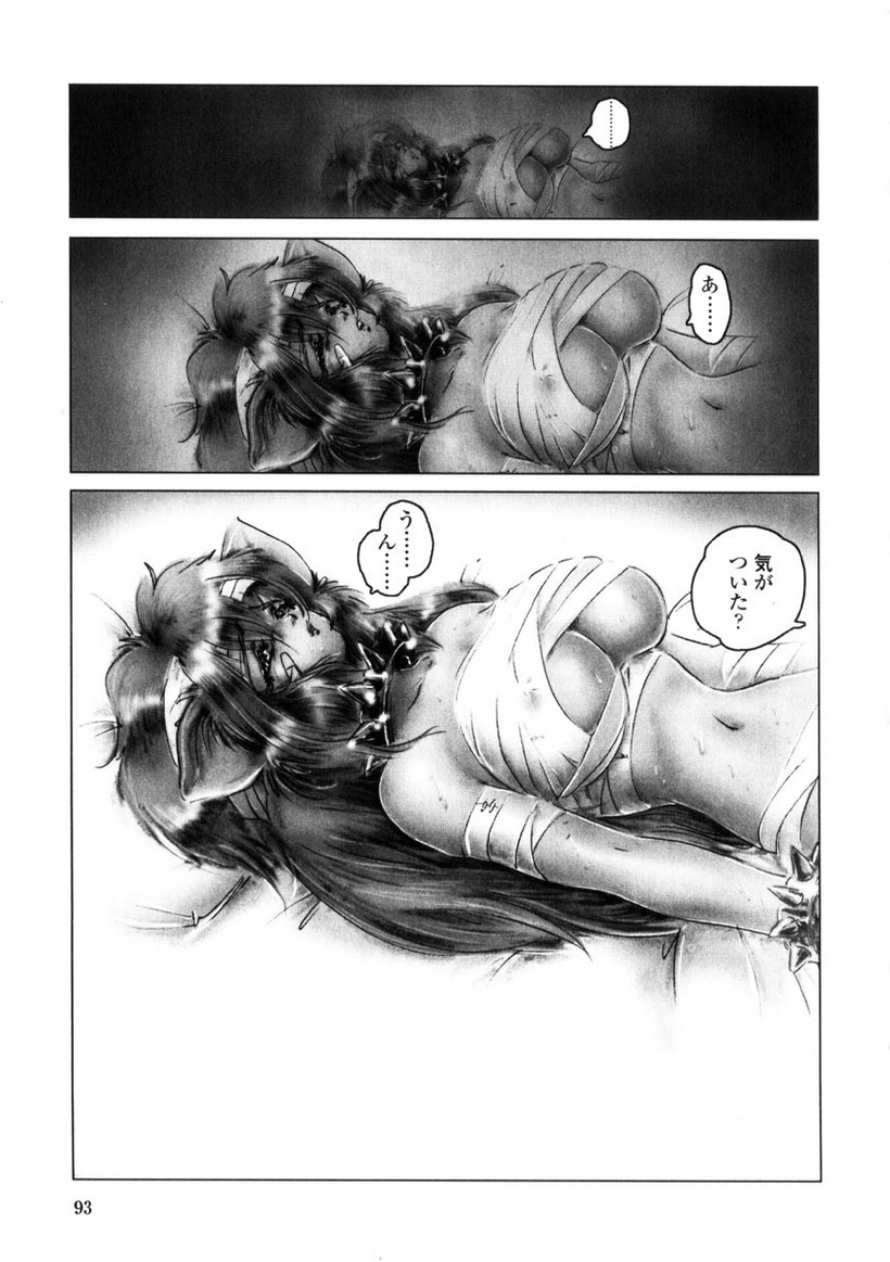 【ネオジェントル】SpladyCasty