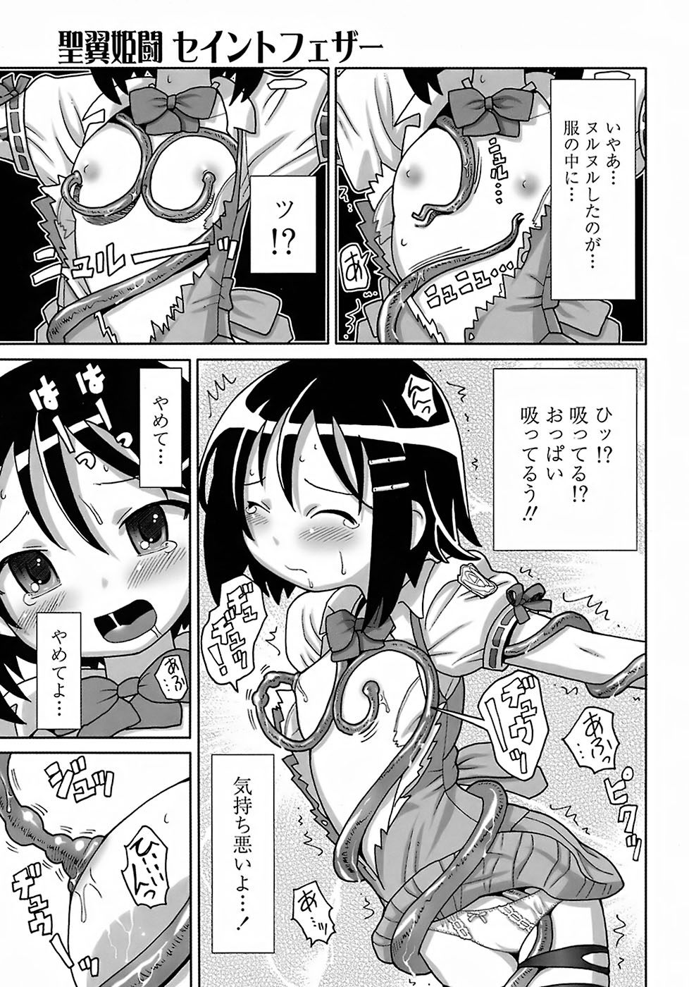 [ホーミング] 聖翼姫闘 セイントフェザー