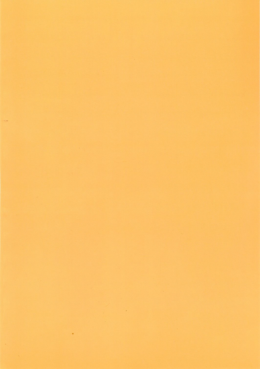 (C68) [みっくす★ビスケット (宝条卓実)] ヒメハジメ (魔法先生ネギま!)