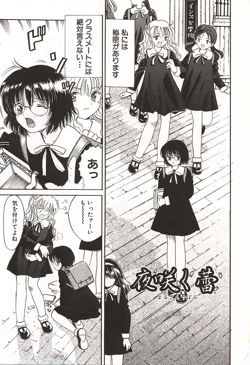 [おがわ甘藍] 初少女