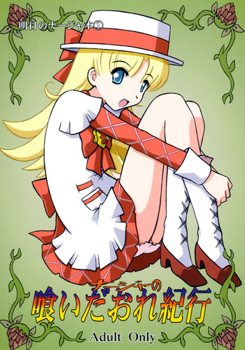 (サンクリ20) [サルヴェージ工房 (鳳凰たん)] ナージャの喰いだおれ紀行 (明日のナージャ)