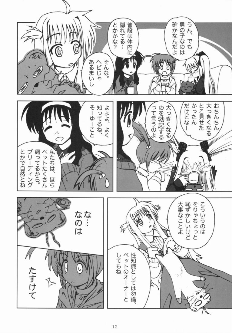 【大黒堂（黒）】ケモノ太刀のゆうつ-カイテイバン-（なのは）