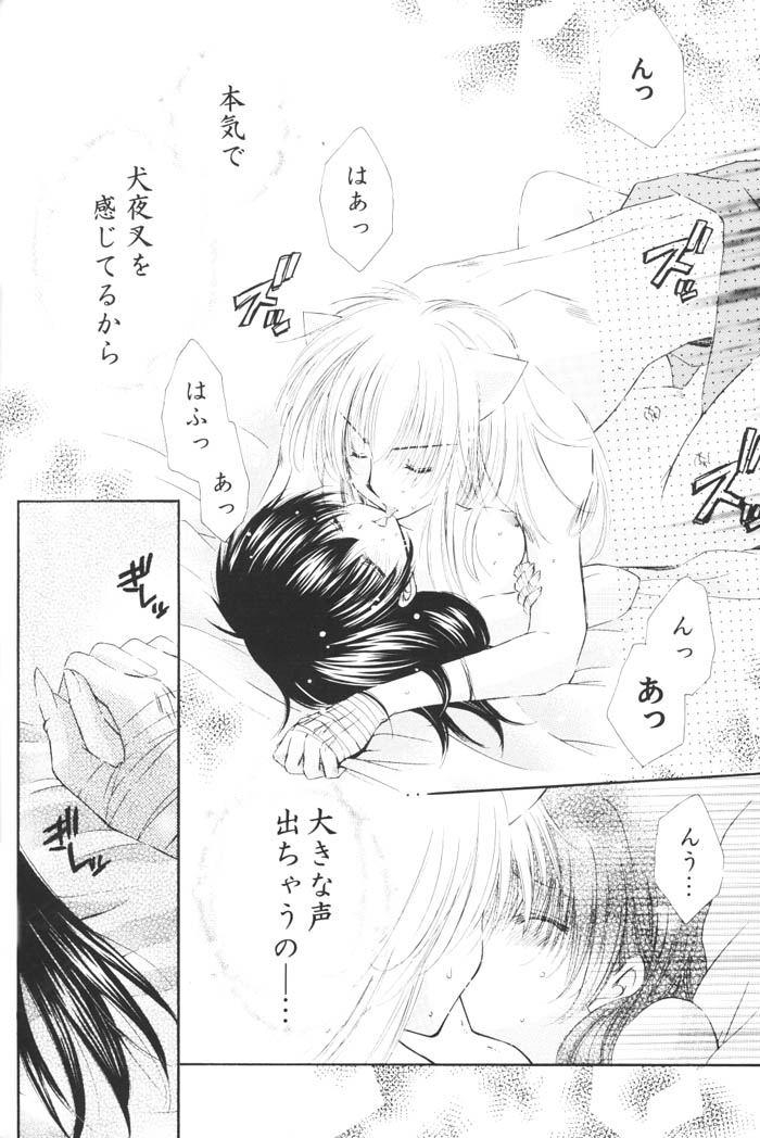 (C68) [桜館 (芹桜さくら)] きまぐれ双星 (犬夜叉)