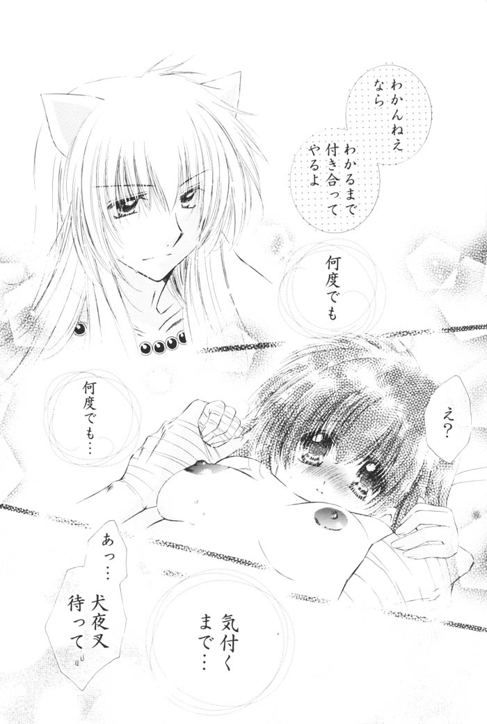 (C68) [桜館 (芹桜さくら)] きまぐれ双星 (犬夜叉)