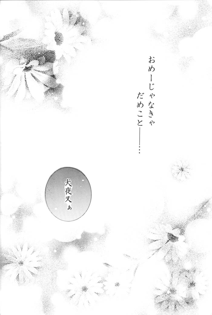 (C68) [桜館 (芹桜さくら)] きまぐれ双星 (犬夜叉)