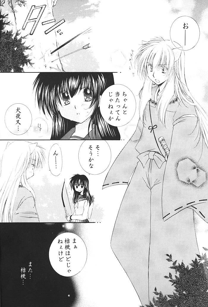 (C68) [桜館 (芹桜さくら)] きまぐれ双星 (犬夜叉)