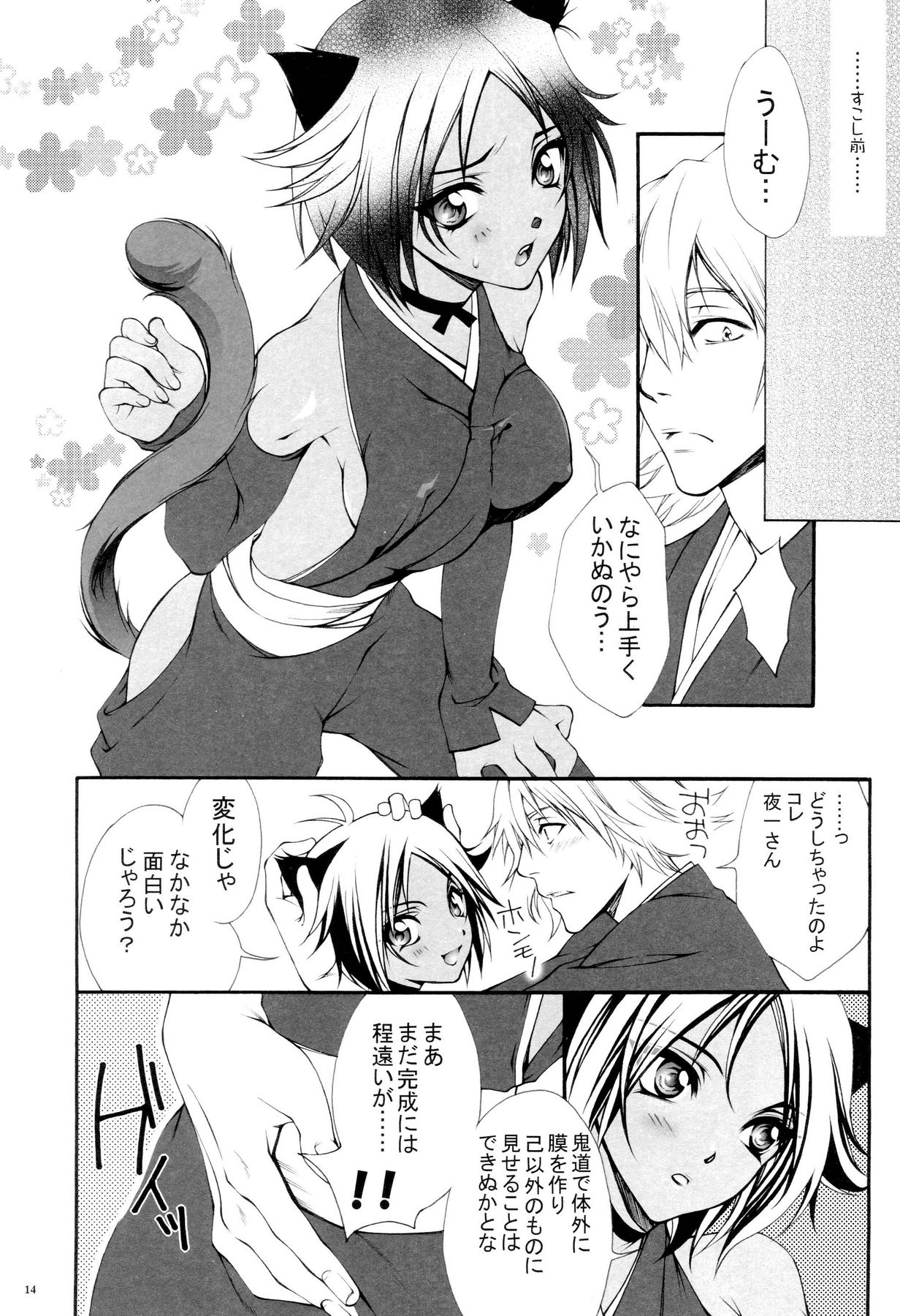 (C68) [青空遊戯 (かんかん)] 女性死神協会 私設支援部会報 (BLEACH)