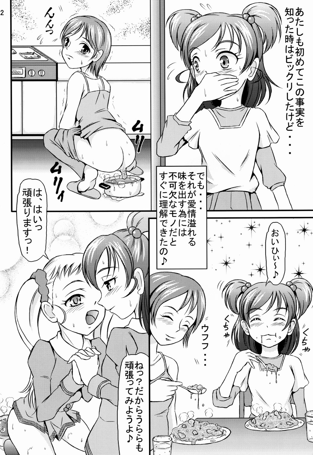 (サンクリ37) [秘密土曜日 (松鷹ぞん)] お母さんのカレー (Yes! プリキュア5)