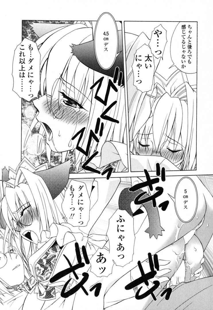 [士崎雅雪] いけいけ!!ねころメイド