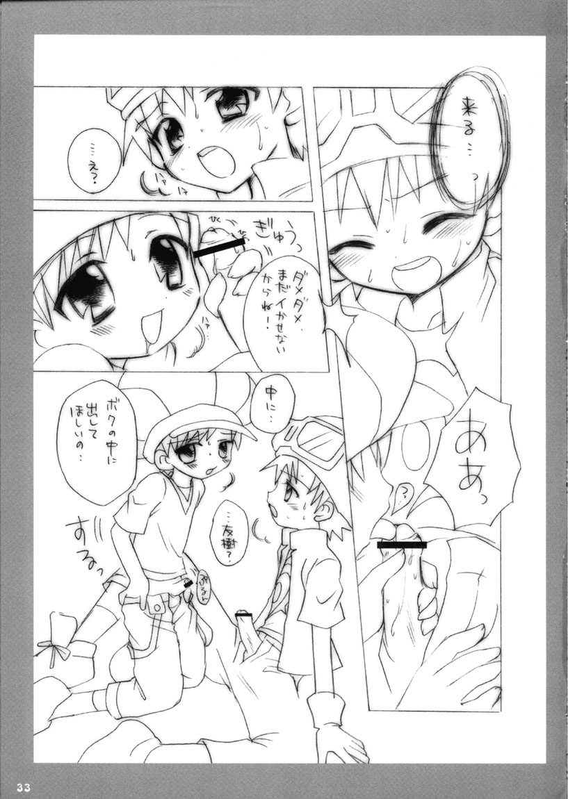 (C62) [放課後パラダイス (さそりがため)] ティンティンTOWN! (デジモンフロンティア)