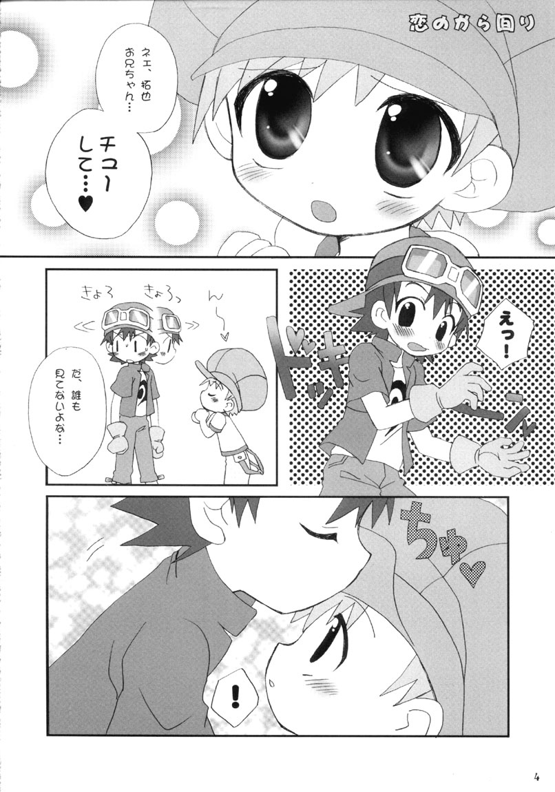 (C62) [放課後パラダイス (さそりがため)] ティンティンTOWN! (デジモンフロンティア)