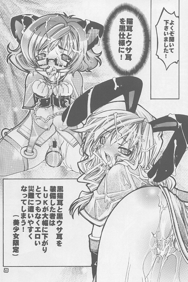 (サンクリ20) [西南西ニ輝ケル星 (森野ぱぴこ)] らぐなろく夜話 Level.1 (ラグナロクオンライン)