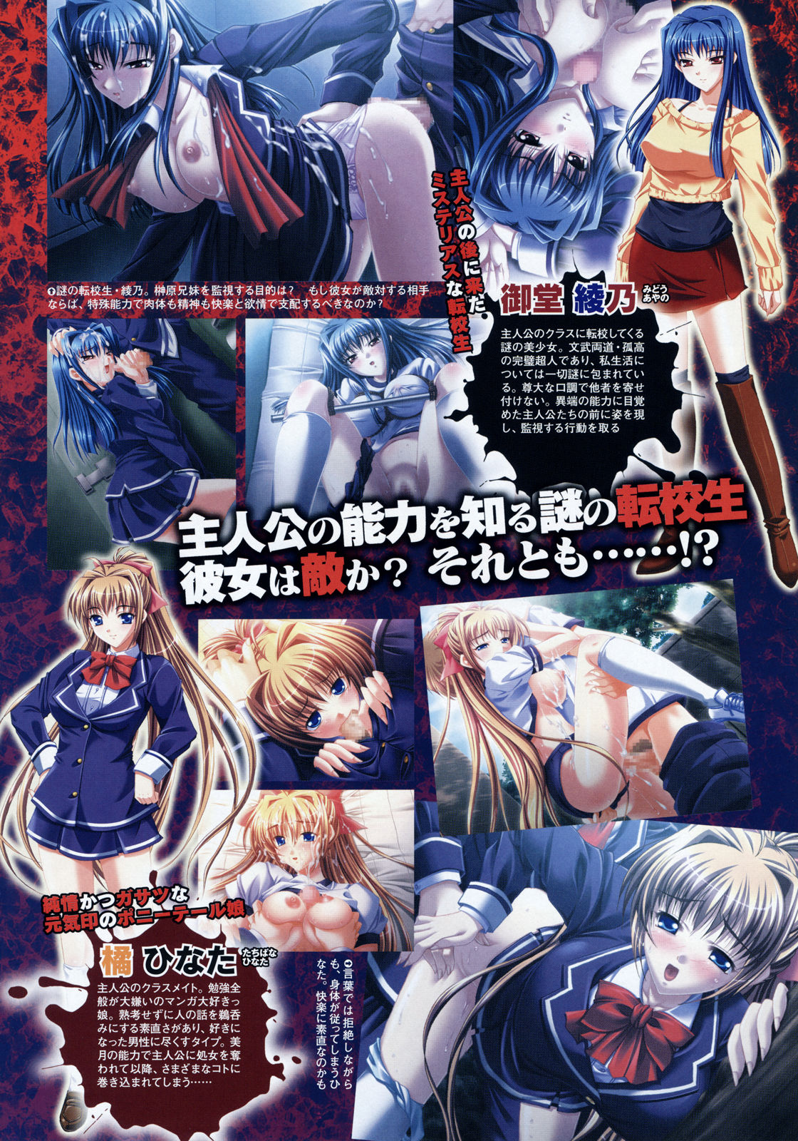 コミックメガストア 2008年6月号