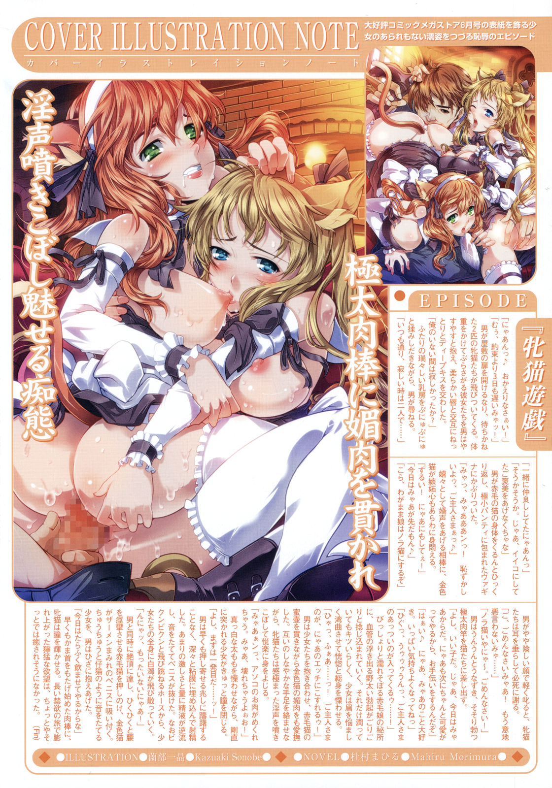 コミックメガストア 2008年6月号