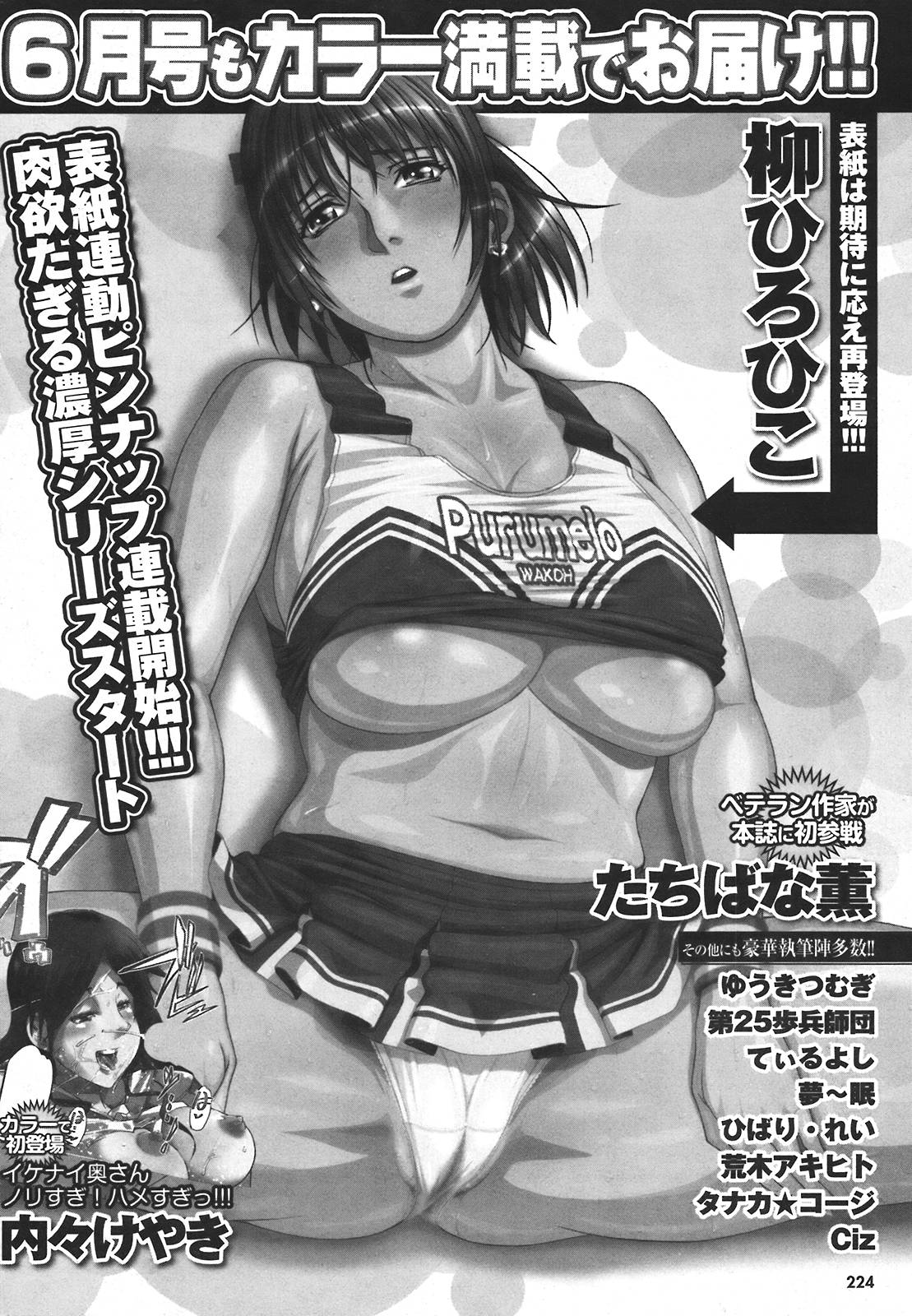 COMIC プルメロ 2008年5月号 vol.17