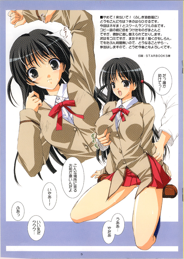 (Cレヴォ34) [リリーマルレーン (きのはらひかる)] ドキドキ恋愛物語 (スクールランブル)