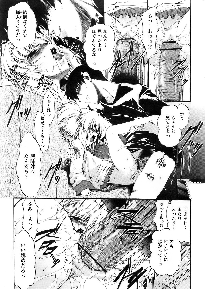 COMIC パピポ 2007年12月号