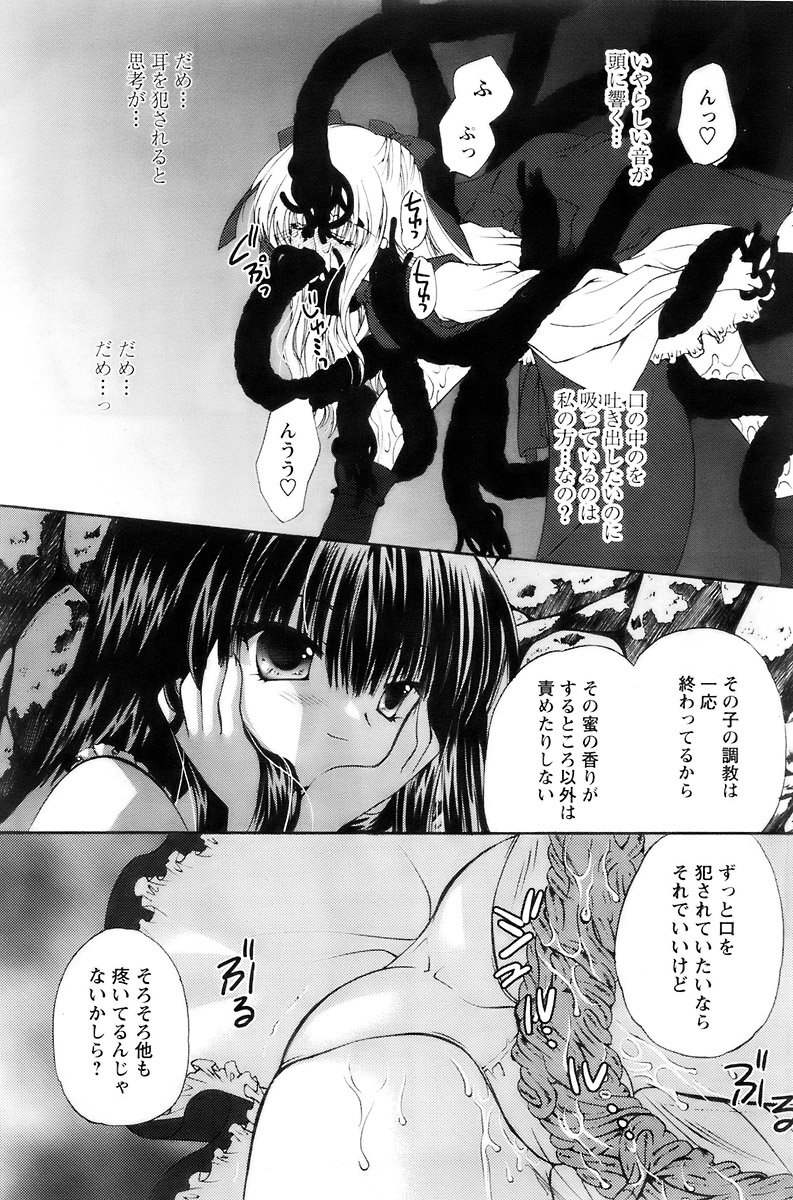 COMIC パピポ 2007年12月号