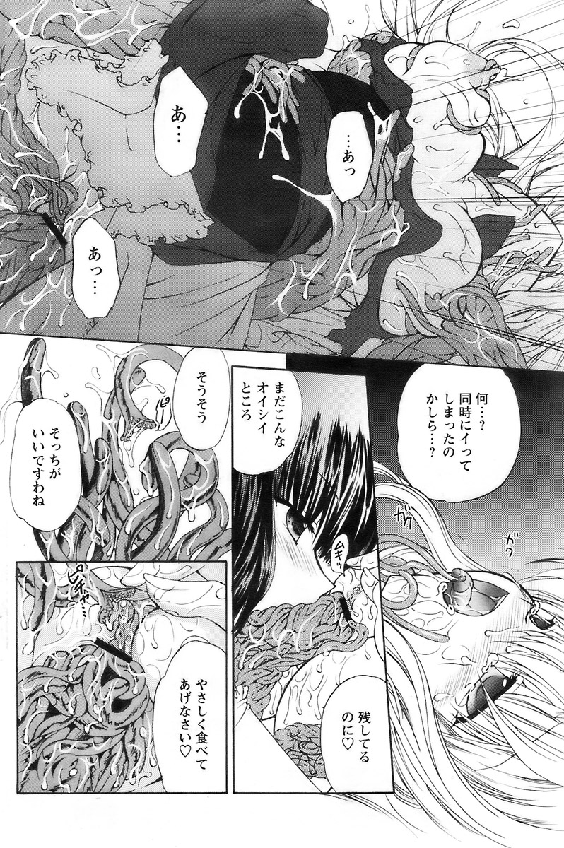 COMIC パピポ 2007年12月号