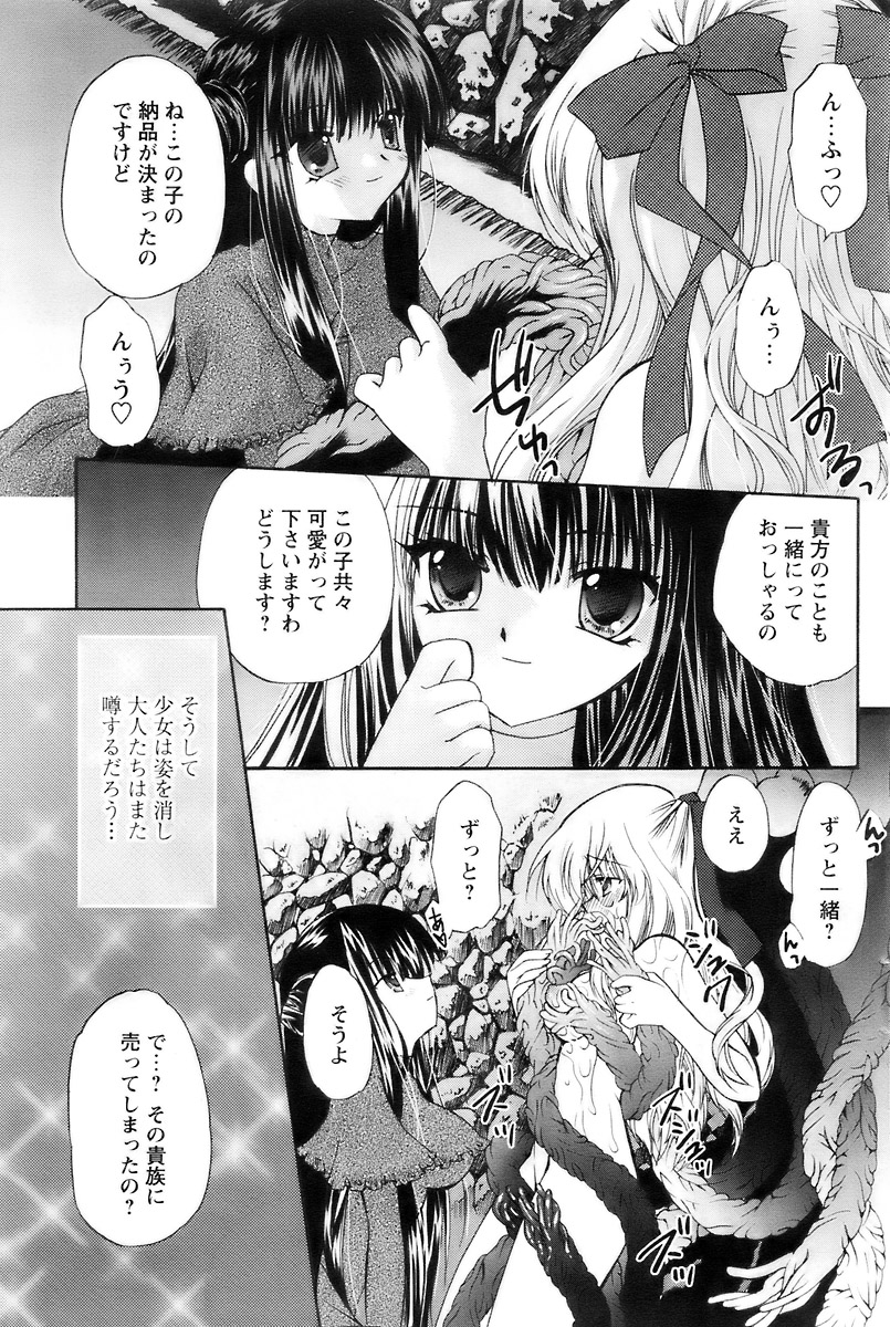 COMIC パピポ 2007年12月号