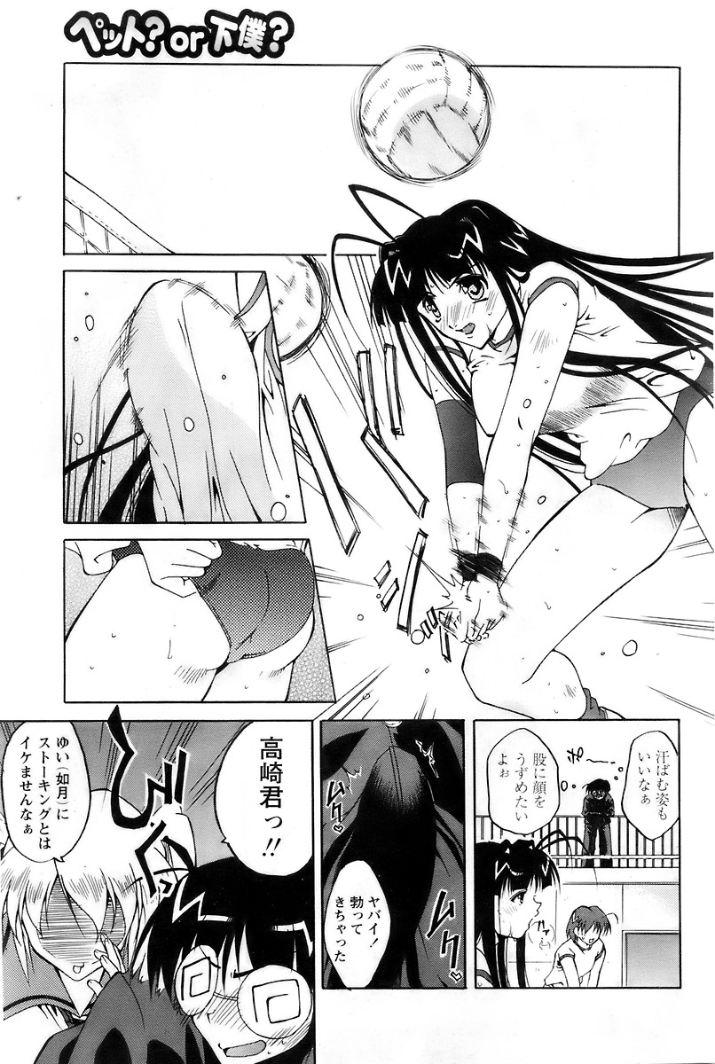 COMIC パピポ 2007年12月号