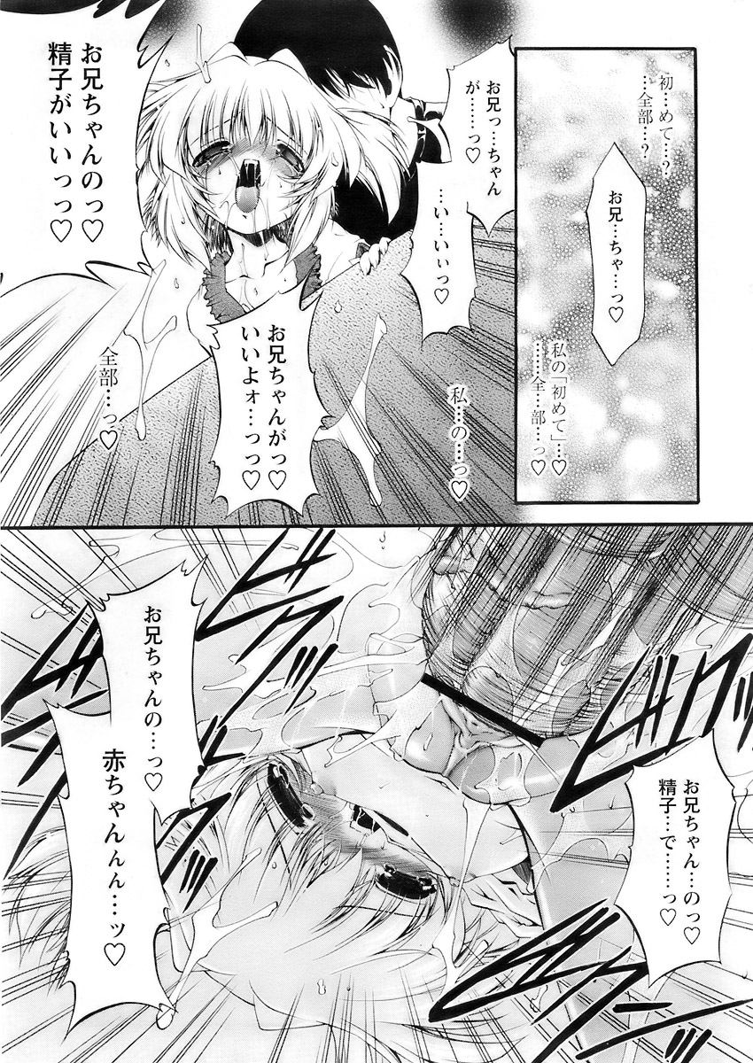 COMIC パピポ 2007年12月号